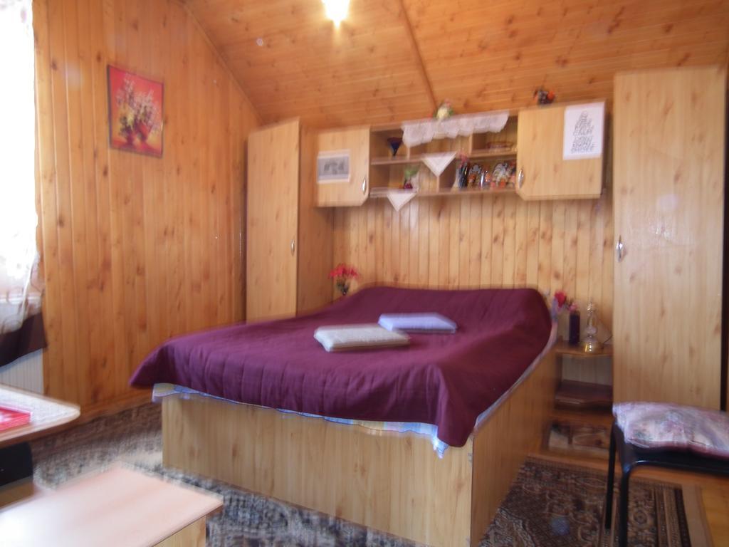 Bed & Breakfast Pensiunea Ando 3*