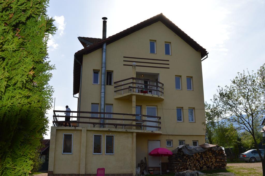 Bed & Breakfast Pensiunea Ando Bran (Brasov)